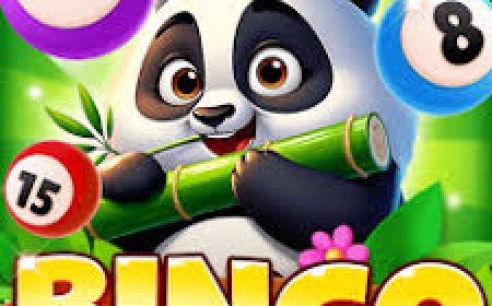 Discover New Opportunities for Entertainment with Pandawin