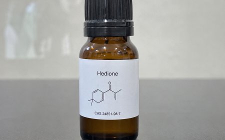 Hedione Price Trend and Forecast 2026: Global Market Analysis and Industry Outlook. 