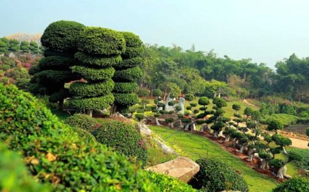 Eco-Friendly Places in India: A Green Adventure