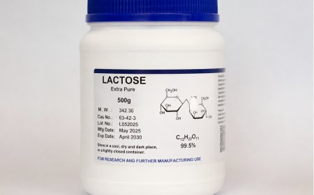Lactose Price Trend and Forecast 2026: Global Market Analysis and Industry Outlook