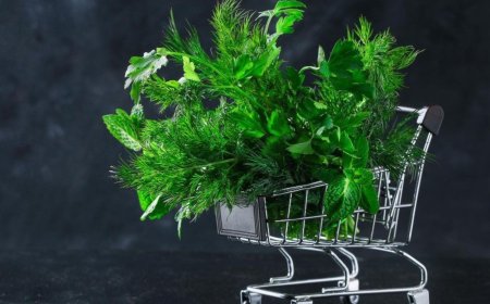 What Makes BC Weed Delivery a Standard Worth Chasing Across Canada?