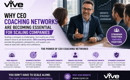 Why CEO Coaching Networks Are Becoming Essential for Scaling Companies