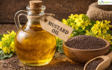 Mustard Oil Price Trend and Forecast 2026: Global Market Analysis and Industry Outlook 