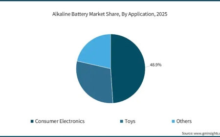 Alkaline Battery Market Insights, Technology Advancements and Future Scope