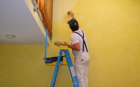 Where Can Property Owners Find Reliable Painting Solutions?