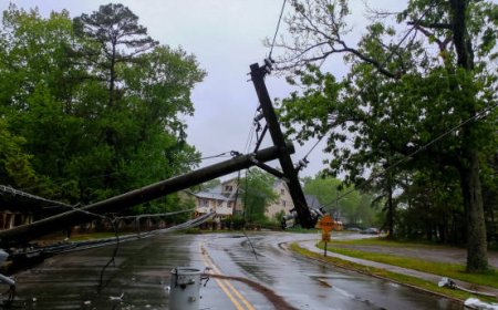 Protecting your property after nature’s unexpected impact