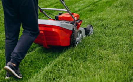 The Future of Commercial Lawn Care in Lethbridge: Precision, Reliability & Weekly Service