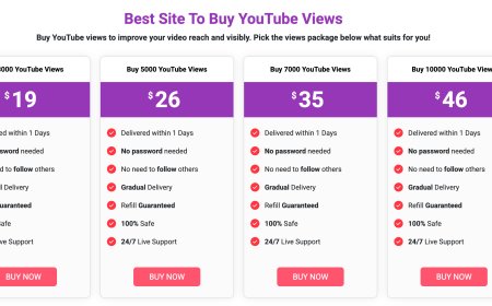 Buy YouTube Views vs Organic Promotion
