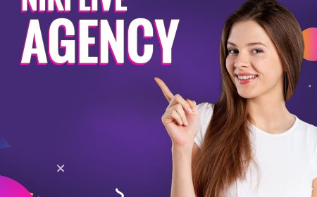 How to Create an Agency on Niki: Complete Guide for Beginners