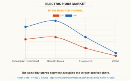 Electric Hob Market Forecast Analysis by Product Type, Distribution Channel, and Region
