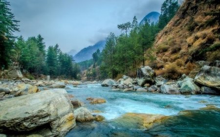 Begin Your Love Story Amidst the Majestic Himalayas