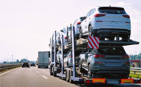 How Expert Hawaii Auto Shipping Companies Handle Vehicle Transport