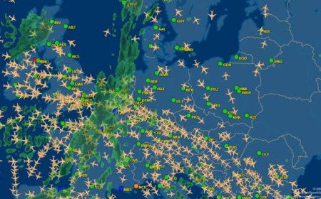 How to Track Flights in Real Time | Live Flight Tracking