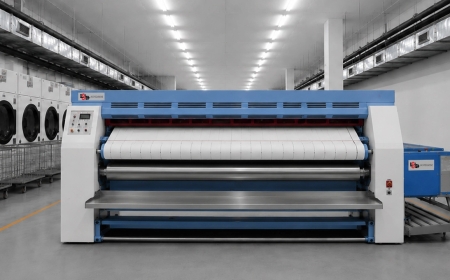 Which Company Does Laundry Project Assessment and Planning in India?