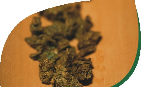 Buy Premium Agarwood Tea Made from Carefully Selected Leaves