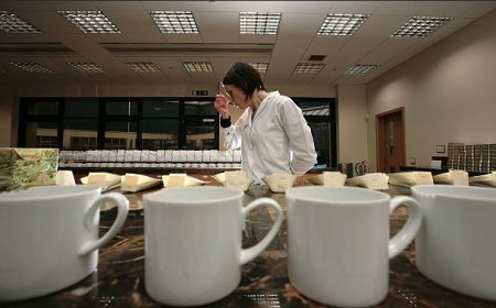 Tea Collections People Love: How to Build a Tasting Flight at Home