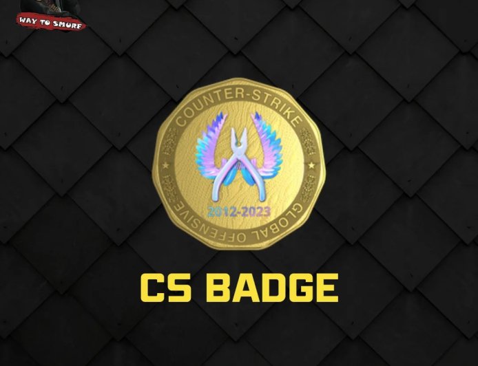 CS2 VIP Accounts: Unlock Elite Gameplay and Dominate Every Match