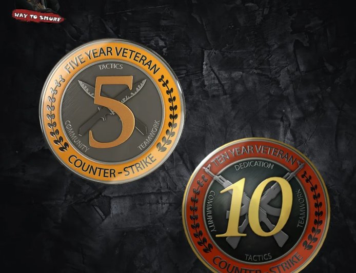Buy 5 and 10 Year Coin Account CS2 – Unlock Instant Prestige and Competitive Advantage