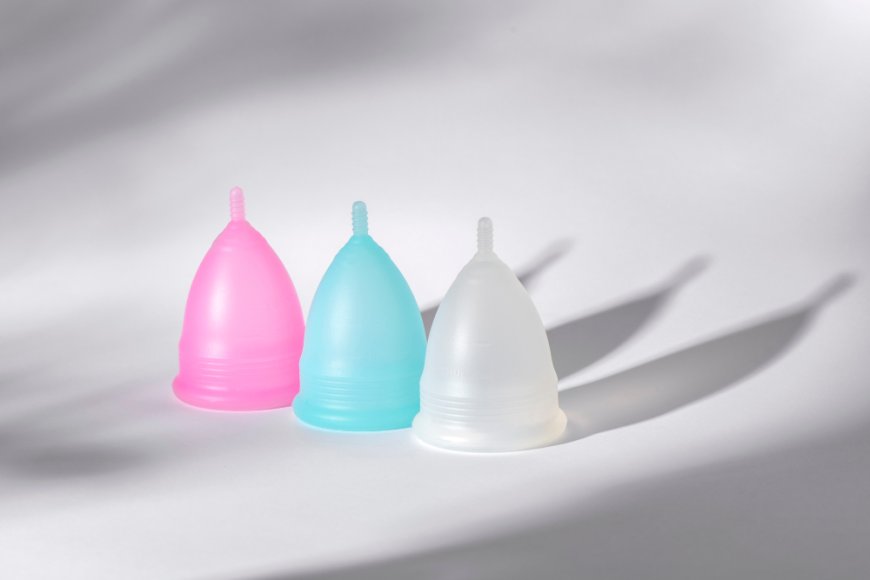 Disposable Cervical Dilators for Clinical Procedures
