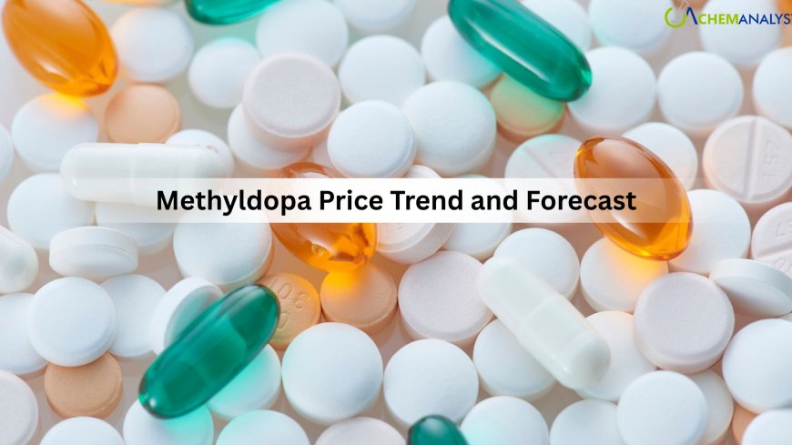 Methyldopa Price Trend Report 2026: Regional Market Insights and Forecasts