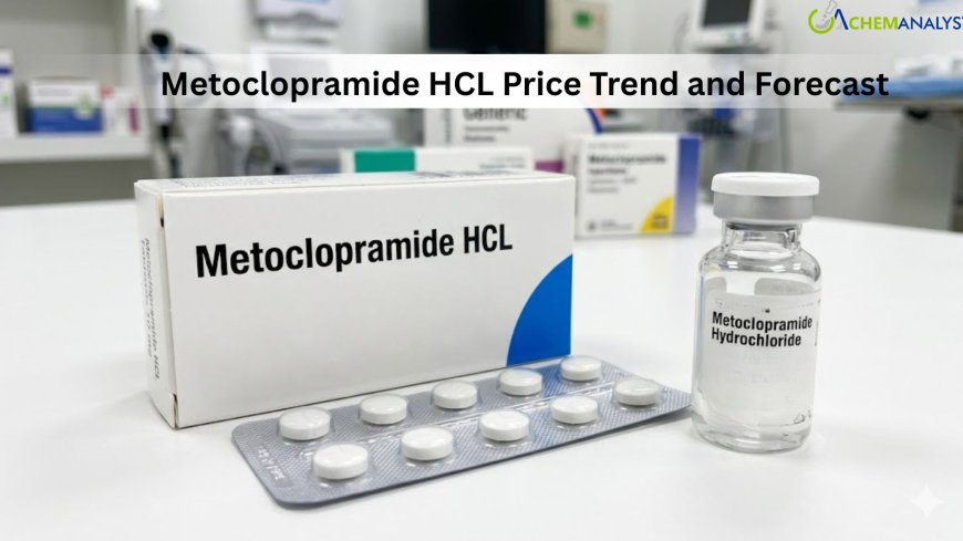 Metoclopramide HCL Price Trend, Chart, Index, Demand, News and Forecast 2026