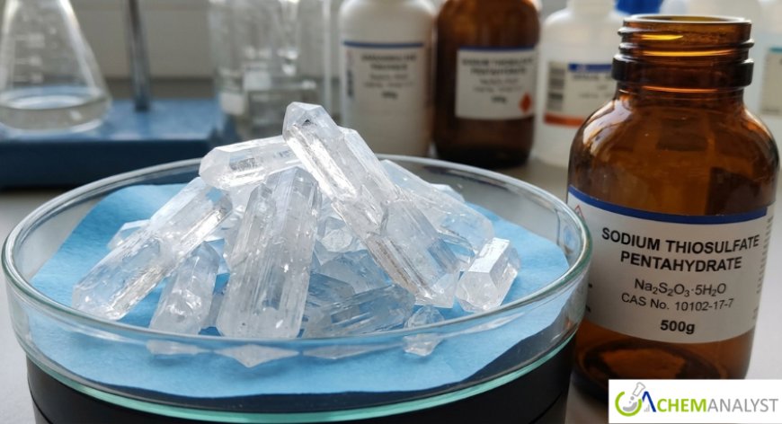 Sodium Thiosulfate Pentahydrate Price Trend and Forecast 2026: Global Market Analysis and Outlook