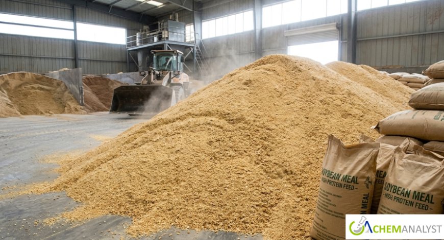 Soybean Meal Price Trend and Forecast 2026: Global Market Analysis and Outlook