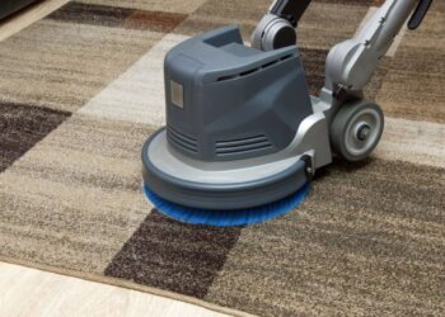 Carpet Cleaning Services Improve Carpet Condition Over Time