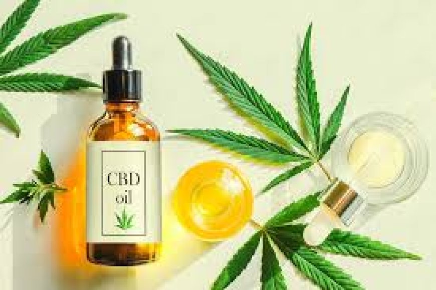 How CBD Edibles Support Recovery After Physical Activity