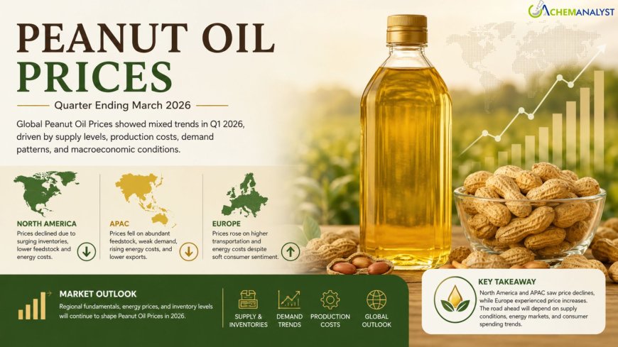 Peanut Oil Prices, Chart, Index, Demand, News, Index and Forecast 2026