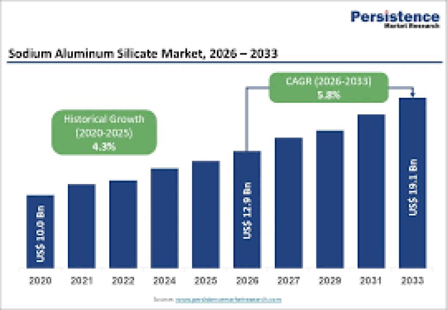 Sodium Aluminum Silicate Market Forecast: Expanding Use in Food Additives and Processing