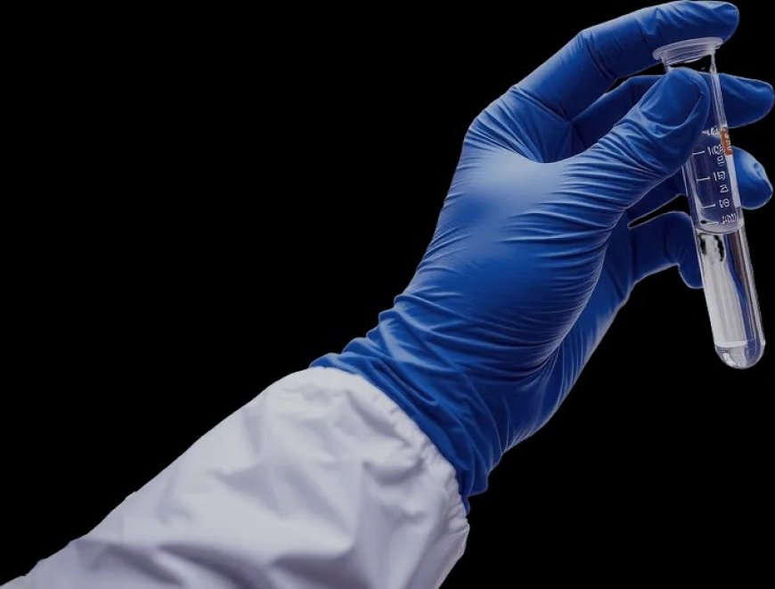 Best Assay Kits Supplier India: Powering Breakthrough Research Faster