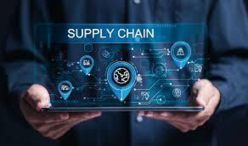 Role of Supply Chain Diversification in Global Manufacturing