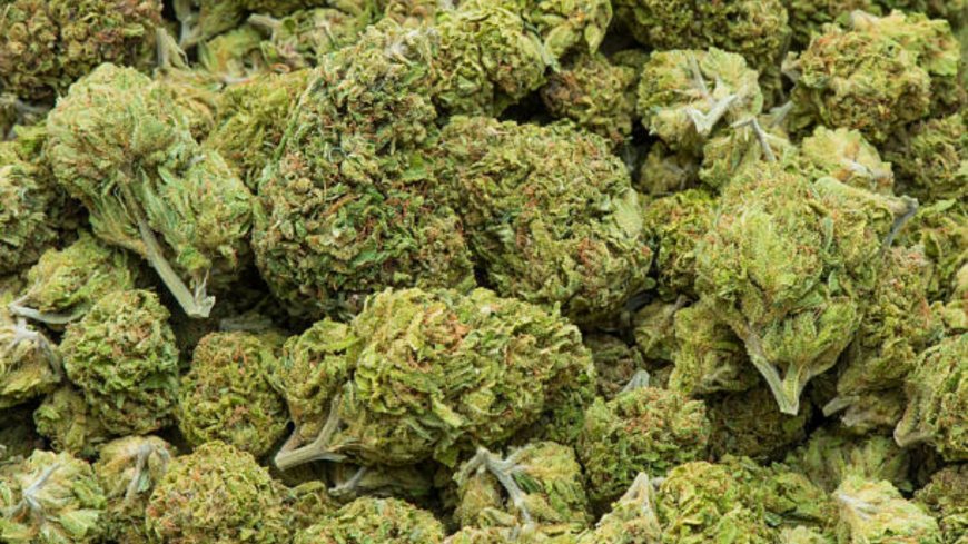Modern cannabis retail pricing trends are driven by value