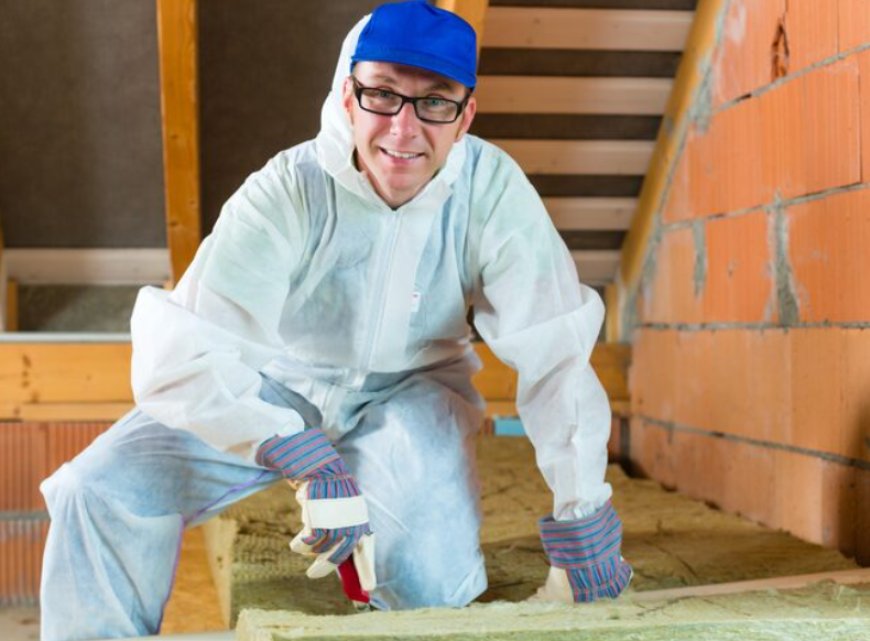 Why Choose Rodent Proof Insulation for Lasting Mouse Protection Today