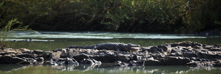 African Travel Guide Planning the Perfect Southern African Adventure with Seasonal Weather Insights
