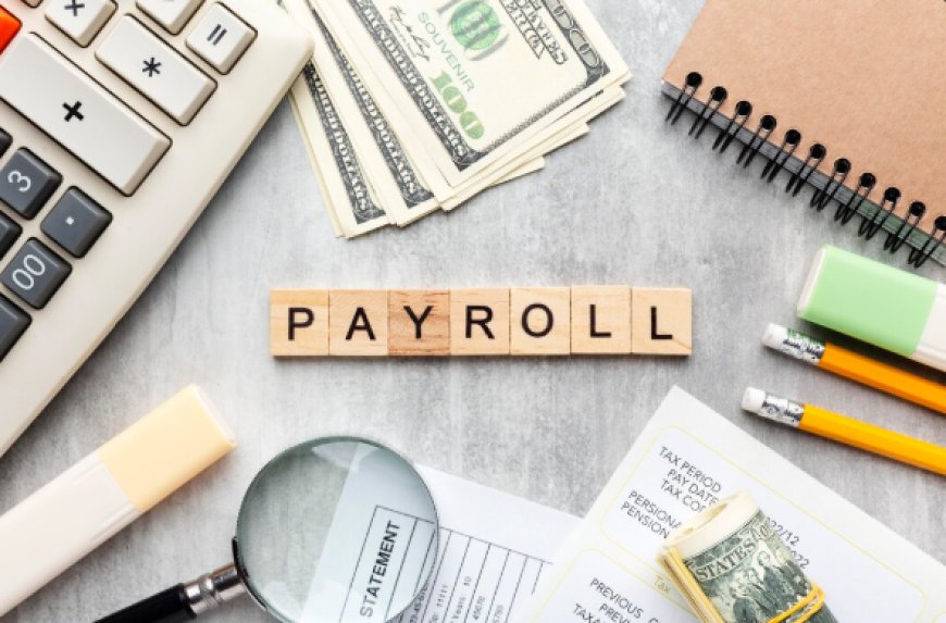 Top Payroll Software Features Every Growing Company Needs