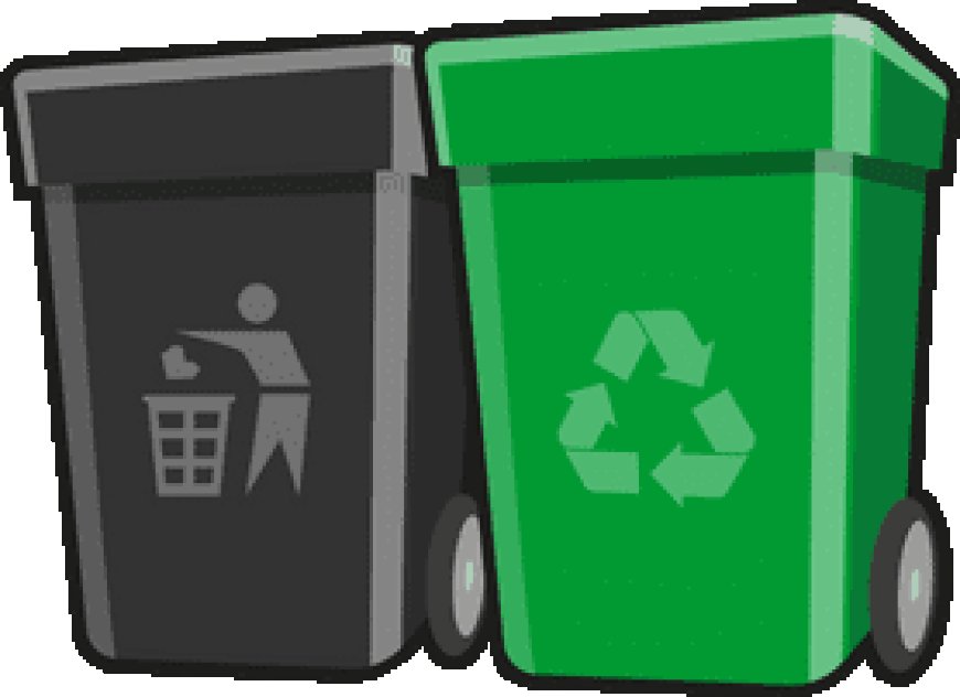 Professional Bin Cleaning Service for a Cleaner Home
