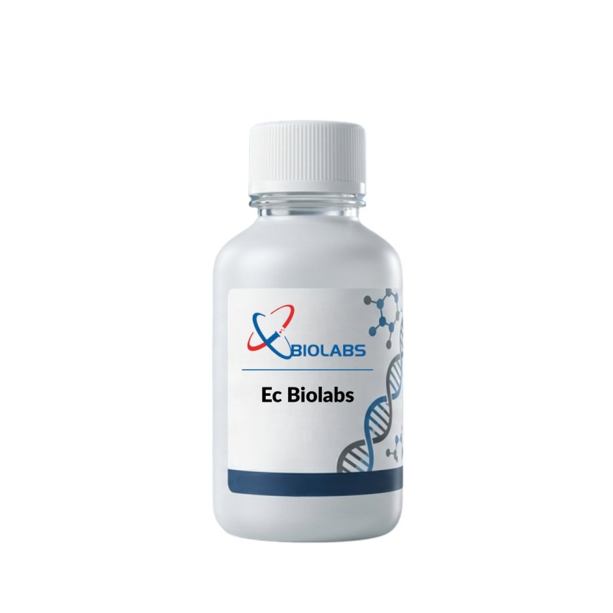 Recombinant Antibody Supplier India: Accelerate Research Success Before Opportunities Pass You By