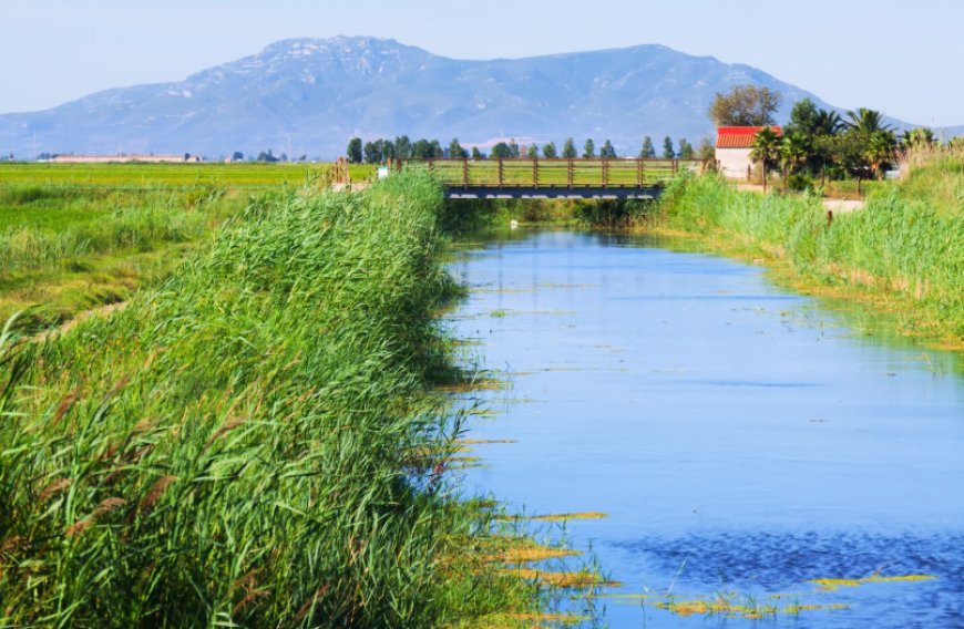 Pure Water. Healthier Livestock. Higher Performance: The Future of Farm Water Treatment in Alberta