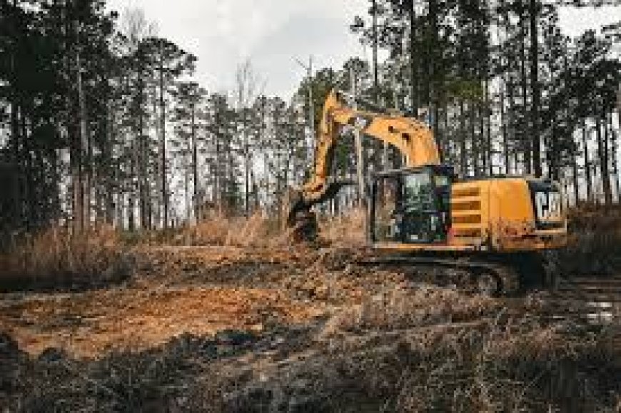 Professional Land Clearing Contractor in Wilmington NC