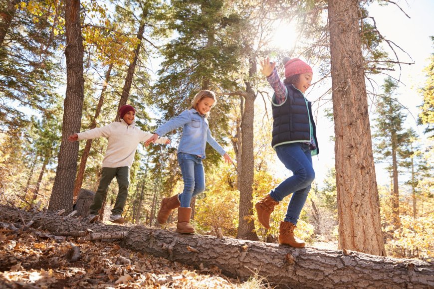 What Makes Outdoor Day Camp for Kids Worth Joining Today