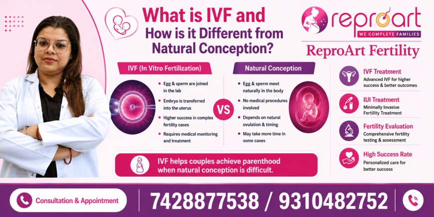 What is IVF and How is it Different from Natural Conception?