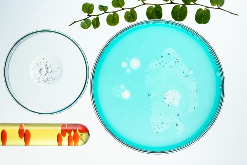 Neutral Glass Petri Dish with Lida Lab Use Guide