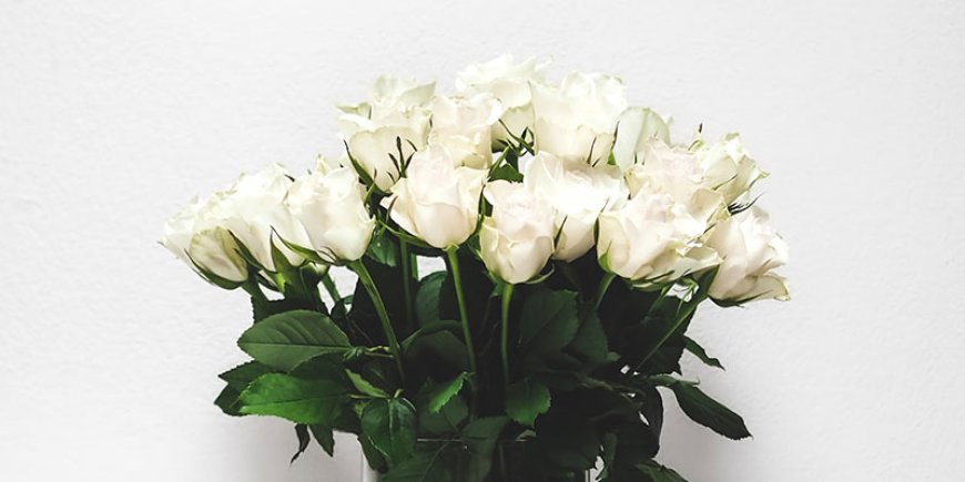 White Flowers for Funeral: A Gentle Way to Say Goodbye