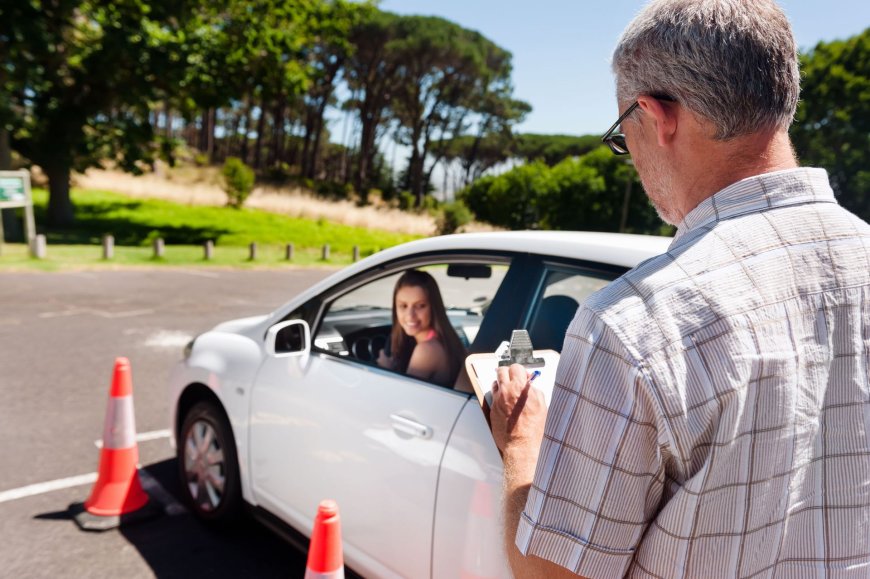 Professional Driving Schools: Your Path to Safe and Confident Driving