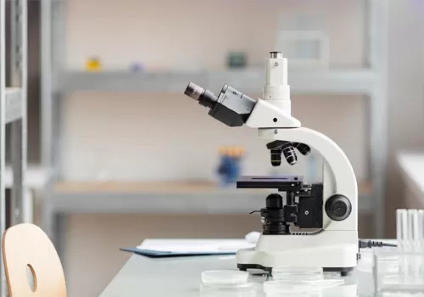 How a Research Microscope Supports Advanced Laboratory Studies