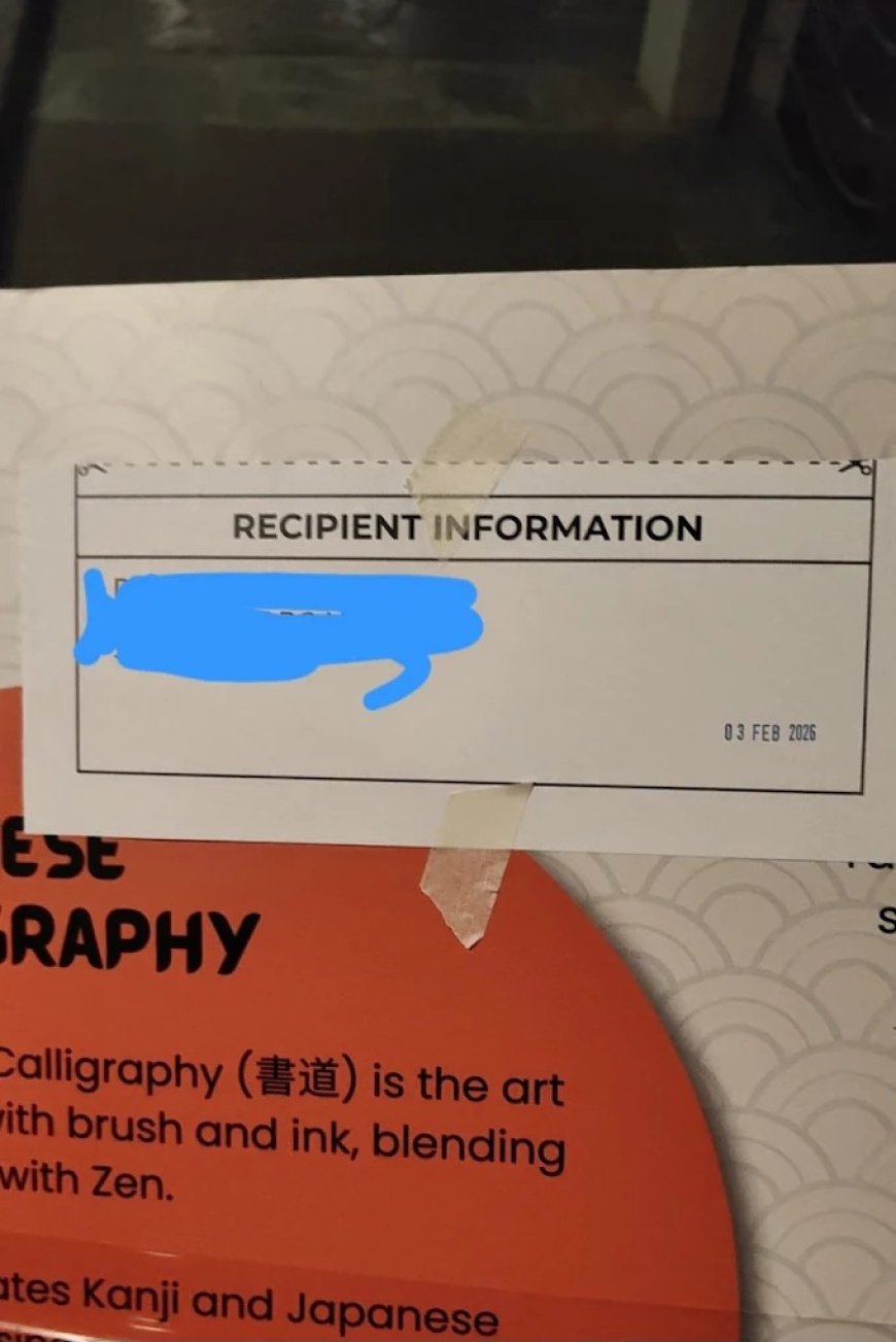 Vinyl Sticker Printing Singapore: Transform Your Branding Before Competitors Do
