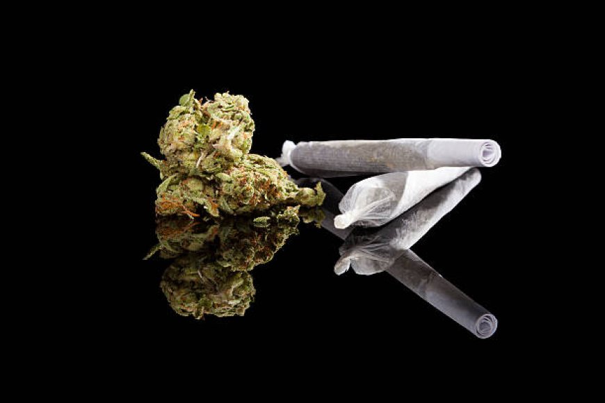 Your trusted source for quality cannabis products