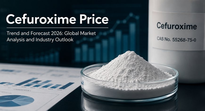 Cefuroxime Price Trend and Forecast 2026: Global Market Analysis and Industry Outlook. 